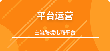 主流跨境电商平台运营培训（下）